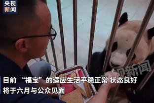记者：申花队今天返回上海，后天赴长春，路易斯伤病没有大碍